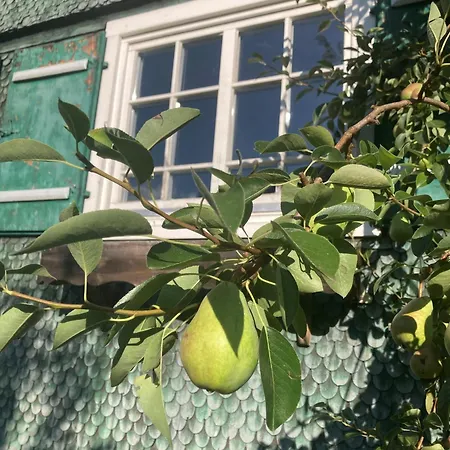 Haus Waescher *